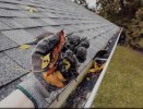 gutter cleaning maple ridge.jpg